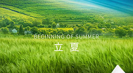 華洲木業(yè) | 春意藏，夏初長