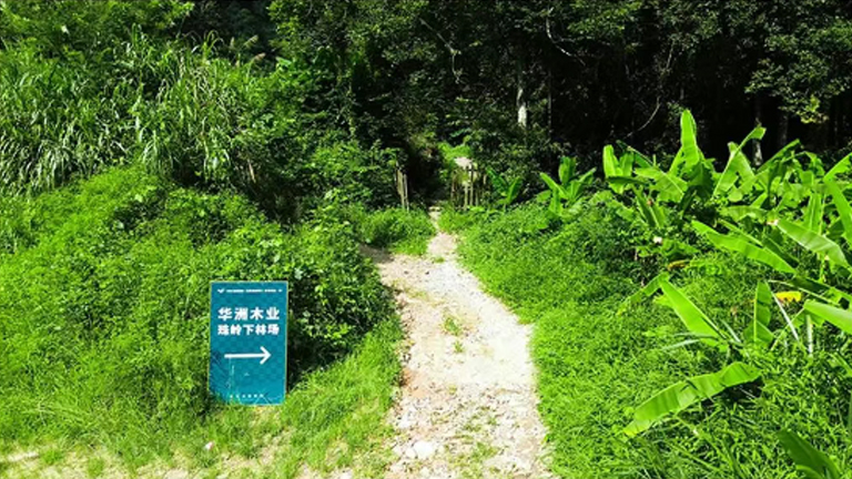 官網(wǎng)2.jpg